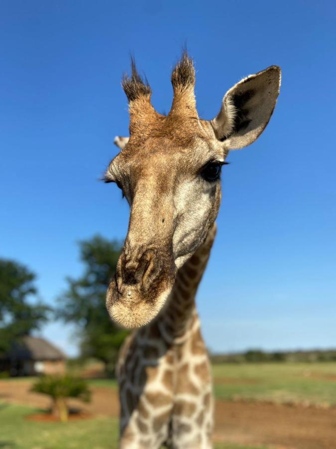 Morakane Safari Lodge Vryburg 외부 사진